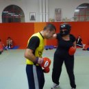 boxe 2013 2014 h